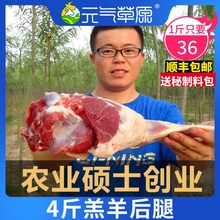 4斤羊肉新鲜包邮羊后腿肉羊腿新鲜羊肉羊腿鲜羊肉生羊肉羊腿羊肉