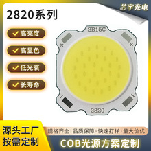 2820-2B15C纯光源 LED光源  COB灯板  高显高亮 厂家直供LED光源