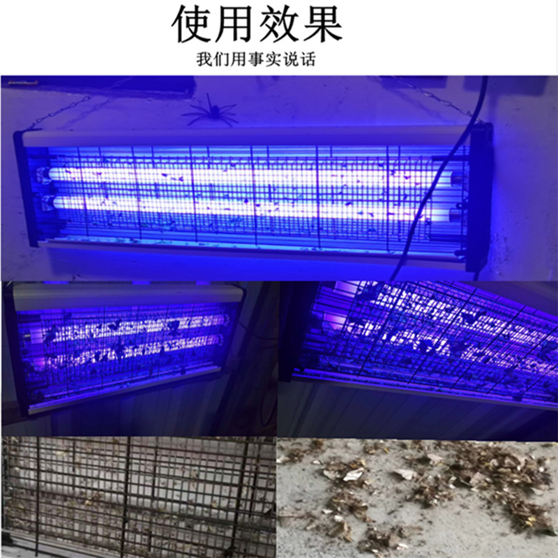 QQ图片20210208141801_副本