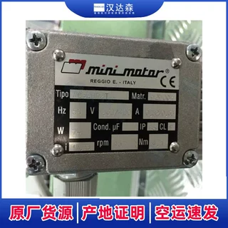 意大利 Mini Motor AC320P2T 同轴齿轮电机原装进口减速马达-期货