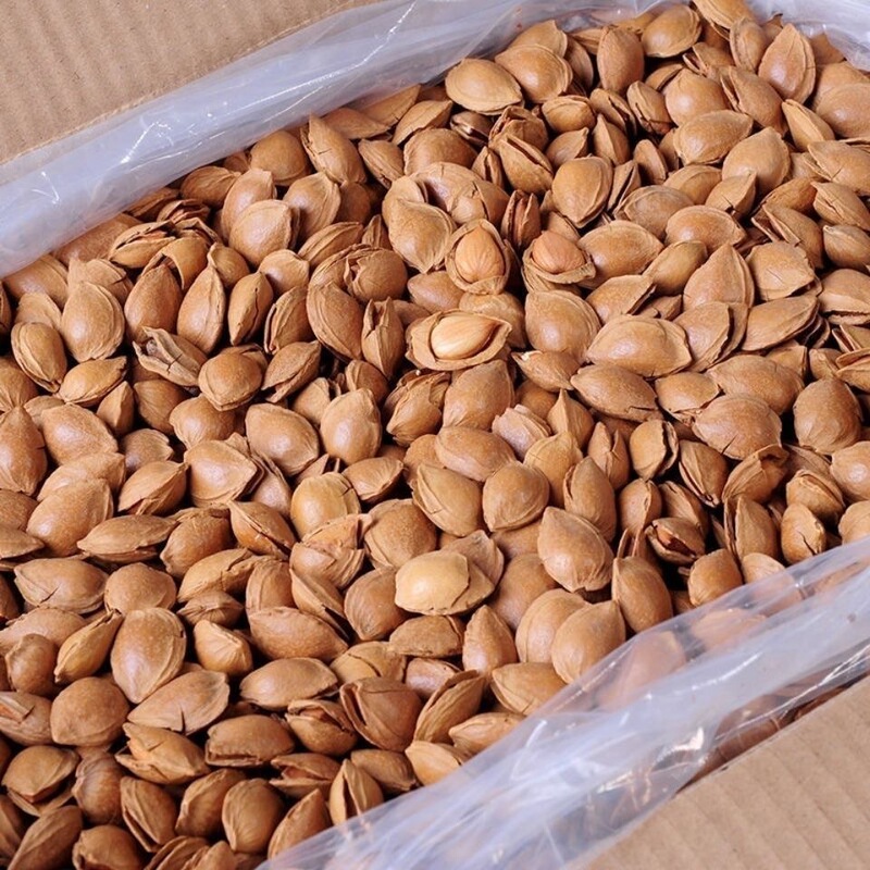 Zhangjiakou Weixian Local Specialty Snack Food Spiced Apricot Kernels Bulk Roasted Nuts 1.0kg New Arrival Zhangjiakou Weixian Local Specialty Snack Food Spiced Apricot Kernels Bulk Roasted Nuts 1.0kg New Arrival