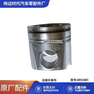 �F؛���������M��/QSB5.9���y�M4955212/�����M4955481/4955480