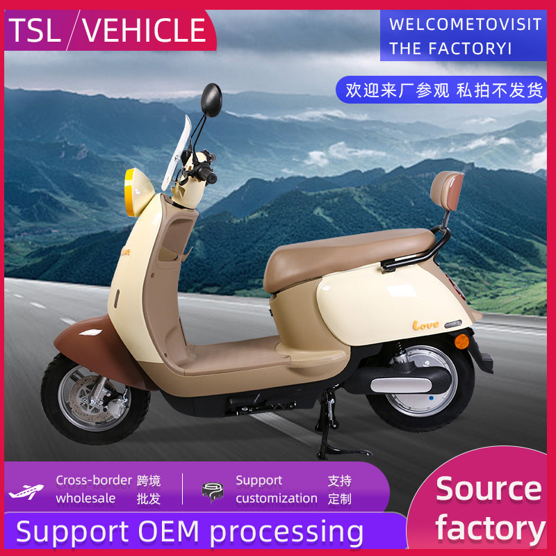 V6 Electric Bicycle 48V Two-Wheeled Electric Vehicle Battery Bike Can Be Directly Supplied by E-Bike Manufacturers for Cross-Border Foreign Trade