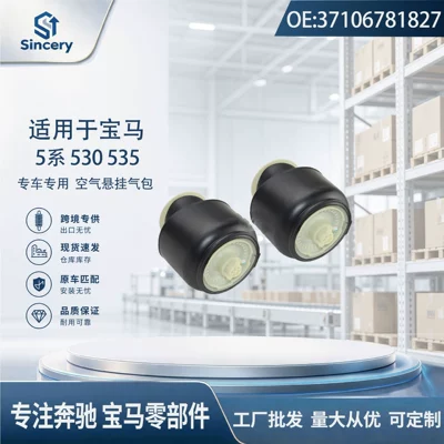 air suspension shock absorbers, rear – Suspension and Shock Absorber Systems