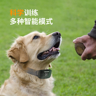 2014 New Pet Dog Barking Device Anti Barking Training Dog Electric Shock Circle for Dogs Anti Barking Pet Barking Device