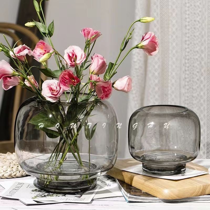 ins style round big belly glass vase simple creative hydroponic flower vase living room flower arrangement decoration crafts