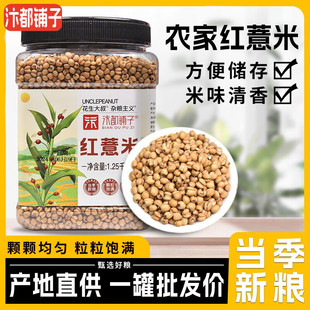 �t޲������s�Z��؛С޲����޲��С���t������ԭ�����ݲ� һ����