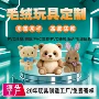 周边定制形象明星玩偶