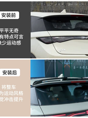 Intelligent Driving Edition Rear Wings, Fixed: Fixed wind wing