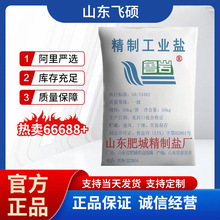 山东工业盐 大颗粒细盐 氯化钠  粗盐 精致工业盐 矿盐 肥城