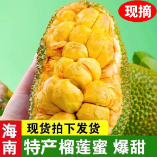 ����������ɏ�����r�Ꭷˮ���خaܛŴ����������С��ɏ�������}