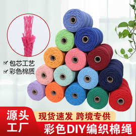 圣伟批发3mm彩色编织绳子4mm手工diy服装线材包包 挂毯棉线绳