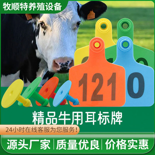 ţ����̖�ƴ�̖��ţ�F�Î��ֹ��������Bֳ��������R����̖����ţ