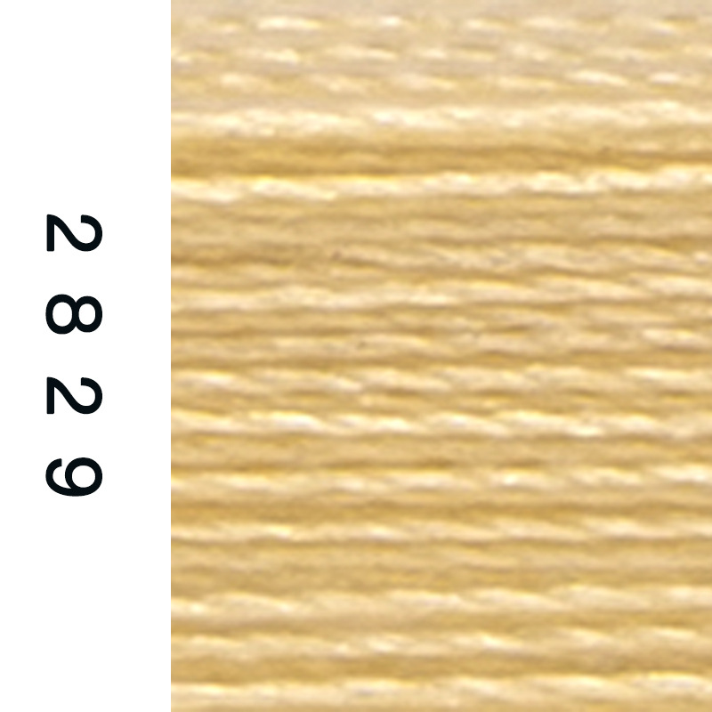 120D/2-2829