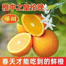 ���wĚ�����ڂ������ȼ��۶�֭����ˮ�����r�Fժ�F�lһ�����l