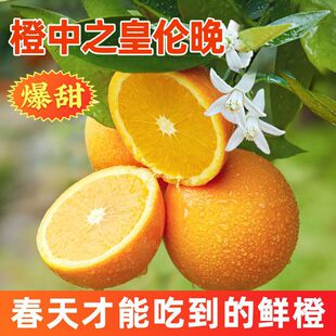 ���wĚ�����ڂ������ȼ��۶�֭����ˮ�����r�Fժ�F�lһ�����l