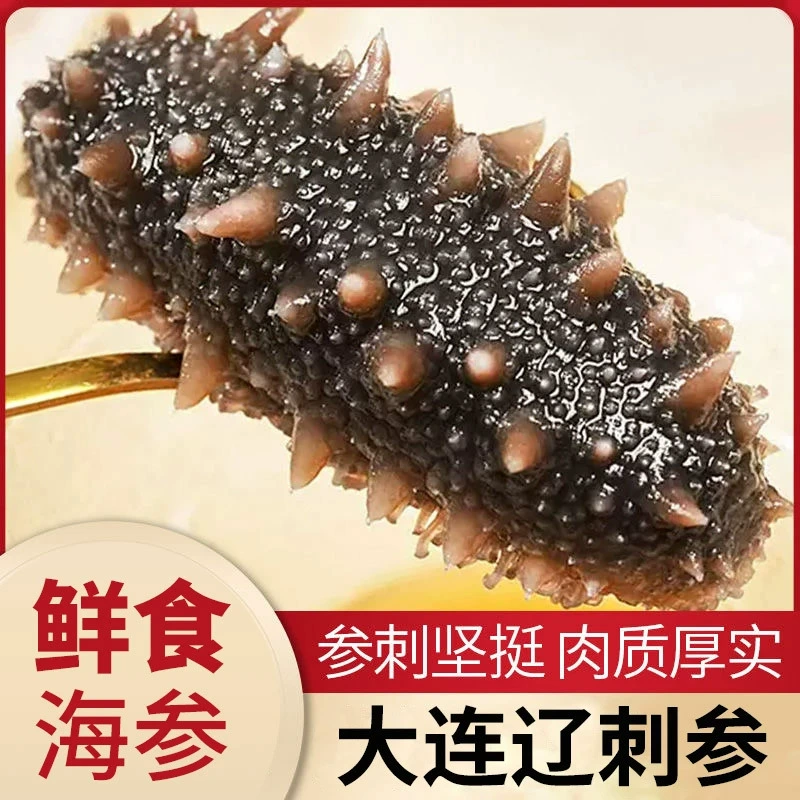 Прямые оптовые поставки готовых к употреблению морских огурцов из Даляня и Ляочэна, микрорезидуальные, свежие, несушены.