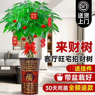 ���;Gֲ�lؔ�������҃ȴ�����ؔ�����k���ҿ͏d�Gֲ�ﻨ���辰