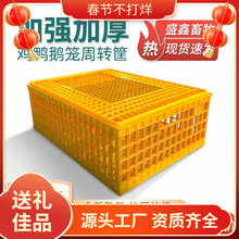 鸡笼塑料家禽运输鸡笼子周转箱大号加厚鸡鸭鹅鸽兔运输方形笼子