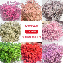 永生花水晶批发diy装饰配饰永生花干花花束100g干花束