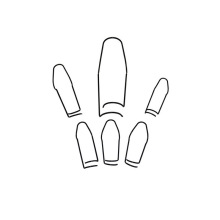 �S�����l���ɿ��r�I�������䓽z�A�����B�ӹ܉�픻ɰ��ֻɿ���ԃ