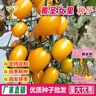 ���l�Sɫ�}Ů���N�ӳ���С���t�����ҷ������ļ��̨�����r�Ҳˈ@