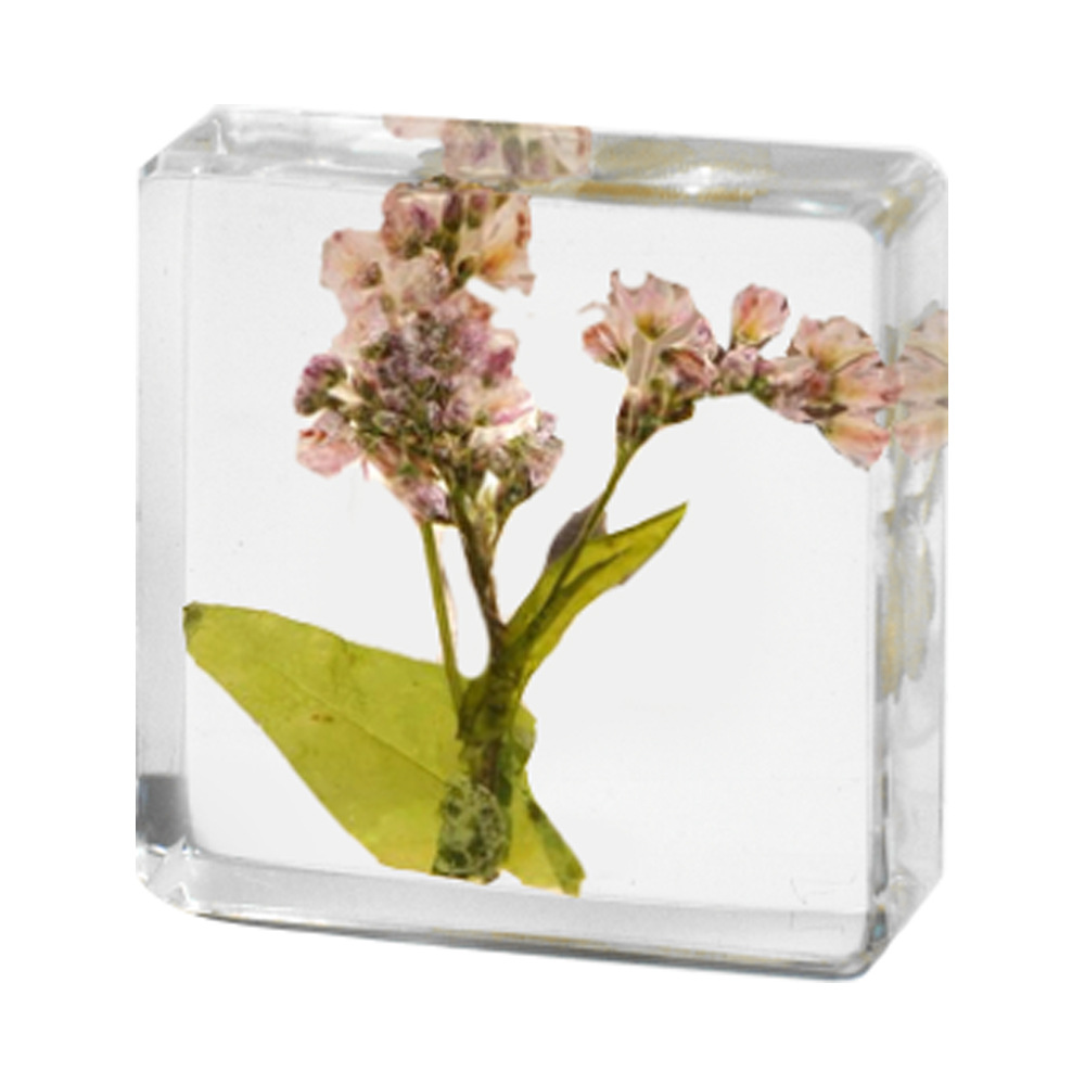 3.8CM small square buckwheat flowers