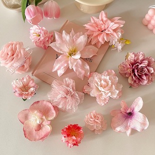 ������ɫ����l�AŮ2025�¿߅����ץ�A���Ʉ����^���A�Ӷȼ��L