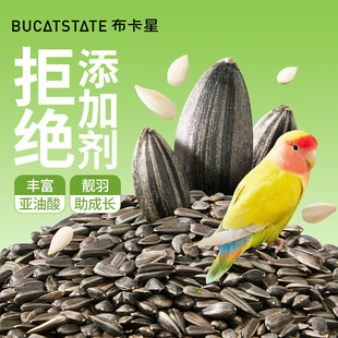 �������W�^��ʳ�Ϳ����ӻ�Ƥ���P�B�Z��Ϫ����С�Bʳĥ����Ʒ