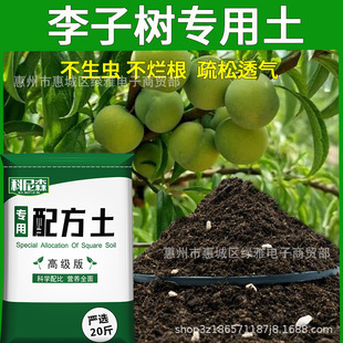 ���Ә�I�B���B���ͷN�˷N���������ʶ���������ԷNֲ�����ЙC��