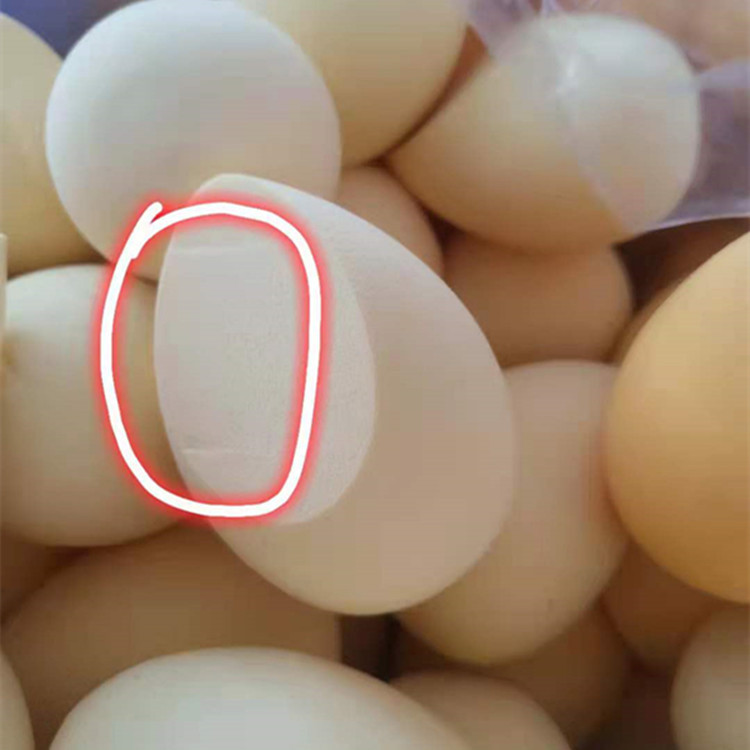 e541d21d0b1a44a9644e99c532f43c