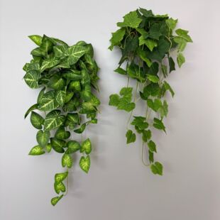 �S�ҬF؛���l����ֲ�����^�~���� ���������~�Ҿӻ�ˇ�Gֲ�辰