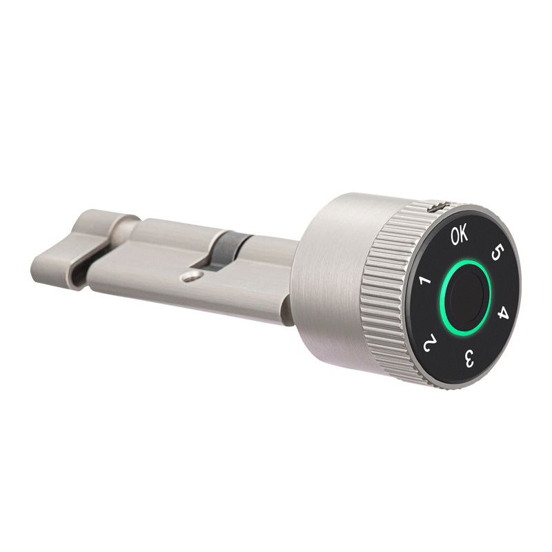 Puerta doméstica transfronteriza inteligente de bloqueo graffiti huella dactilar contraseña de bloqueo sin agujeros de madera interior cerradura inteligente