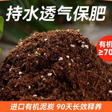 ���àI�B�ЙC�����Nֲ����ͨ���Ͷ������������Ş��