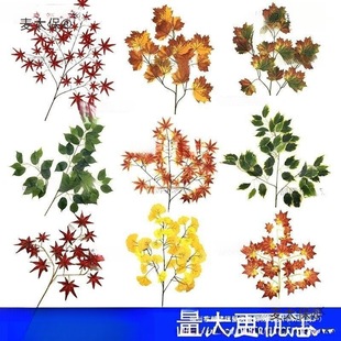 ��ͩ�~�~�Ӽ٘��~�����bGֲ�����~�^�z�����＾�t�y���~��̫��