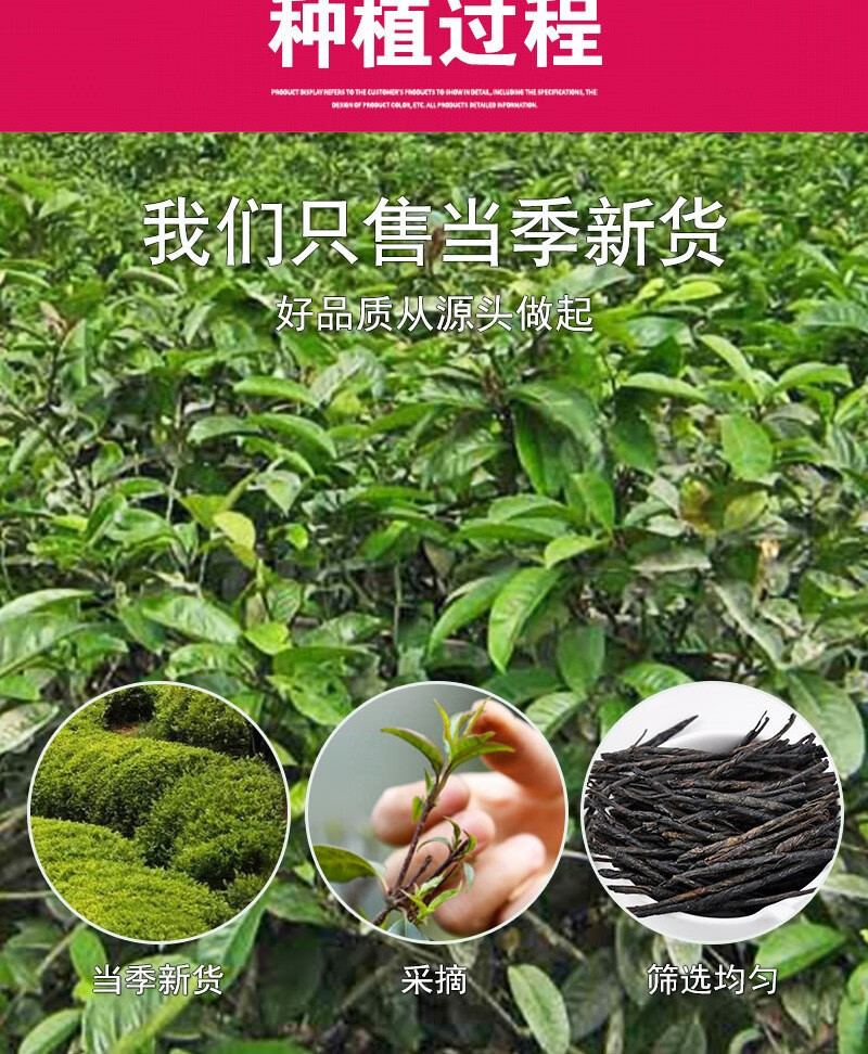 Ku Ding Tea Loose Leaf 500g Hainan Large Leaf Ilex Kudingcha Bitter Herbal Tea specifications