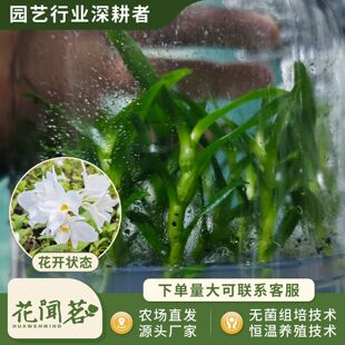 ��ʯ��3080��ë��ʯ��ƿ���׳ɻ�M��С���҃������Ի�������r��