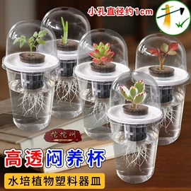 其他园林资材;园艺工具;园艺灌溉工具