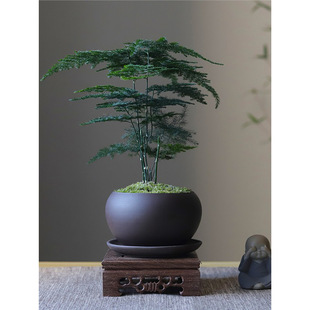便携洗漱沐浴