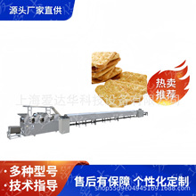 宠物饼干生产线自动化标准工厂房设备