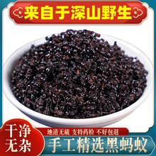 ҰΛρɴΛρɼtΛρʳÔMڶρΛρݾϺΛρ