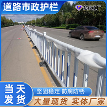 市政道路护栏中央道路隔离防护栏城市交通隔离围栏人行道公路护栏