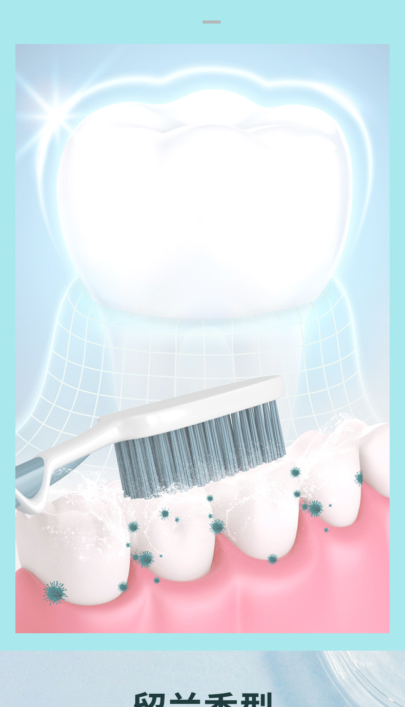 Nicor Enzyme Pearl White Tooth Powder Freshens the Mouth and leaves Fragrance, yellowish teeth Cleaning Bestseller wholesale Specification drawing