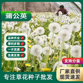 盆栽;种子;园林果树