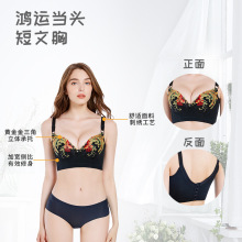 后五排扣固定双肩带短文胸黑色刺绣钢圈内衣女大胸收副乳胸罩批发