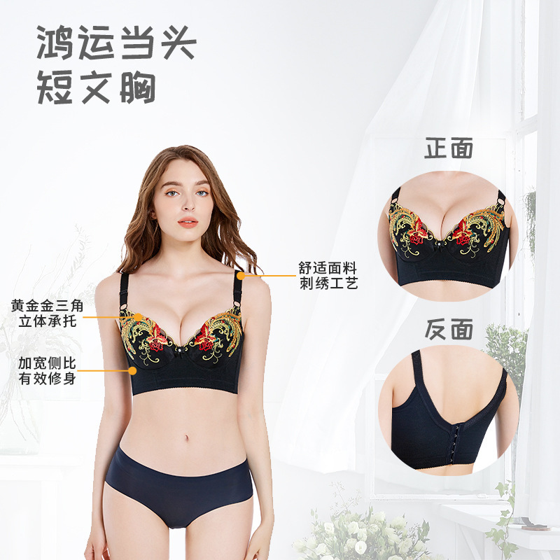 Rear five-breasted fixed double shoulder strap short bra black embroidered steel ring underwear women's large chest bra wholesale Rear five-breasted fixed double shoulder strap short bra black embroidered steel ring underwear women's large chest bra wholesale