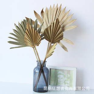 �����߹��S�����^����С�ѿ�/�����~�����L�Ҿӻ�Y�b���Ȼ�ɻ�