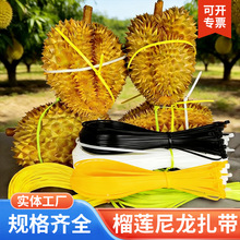 ����ɏ�������iʽ���L�Ӻ�5*650�ӌ���������������ɏ�������S��