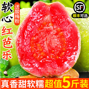 �Ř��t�ķ�ʯ�����rˮ��5�ﮔ��ܛ��������֬�t�Ř����������]