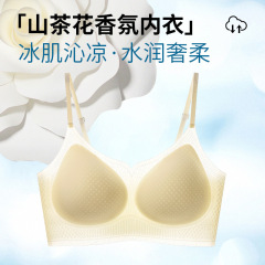 山茶花香氛夏季超薄凉感吸湿速干透气孔果冻内衣小胸聚拢无痕文胸